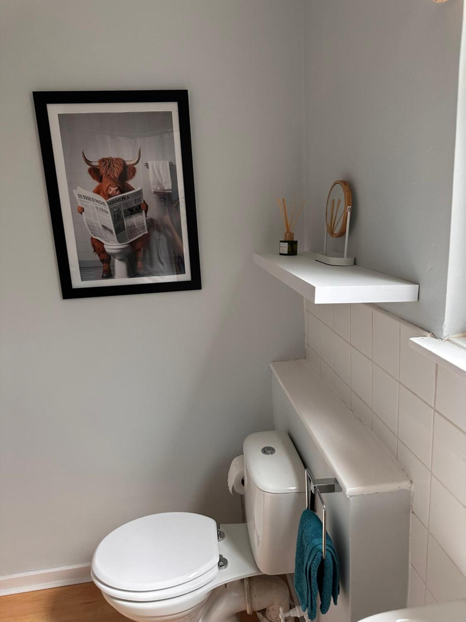 סטירלינג Castle Brae Apartment מראה חיצוני תמונה